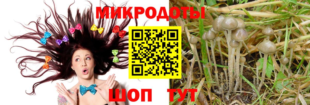 Галлюциногенные грибы Psilocybine cubensis Волжск