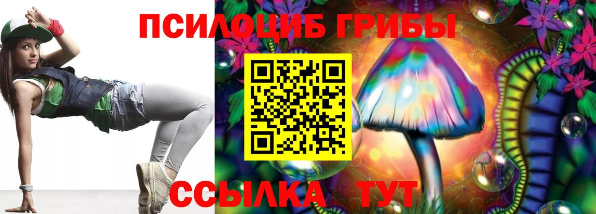 Волжск  Галлюциногенные грибы Psilocybine cubensis  Псилоцибиновые грибы MAGIC MUSHROOMS  Вход с VPN 